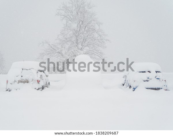 A car completely covered with snow stands between two\
less snow-covered cars against a background of a tree in heavy snow\
and fog