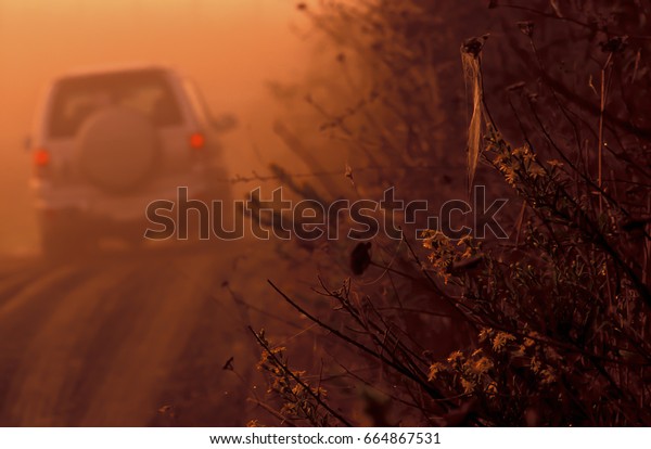 Car in country road at\
dawn