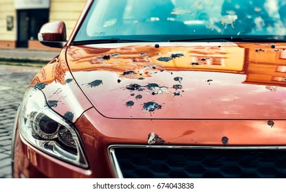Car Covered in Bird Droppings