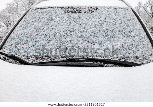Car covered with snow during a snowfall. snowy\
trees in the background