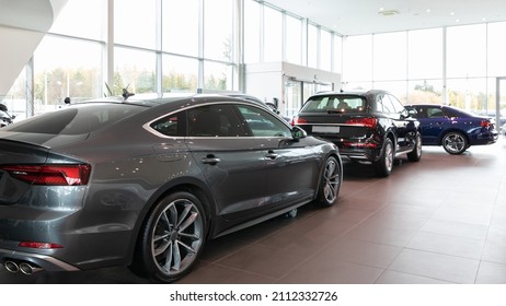 Car Dealership Interior Premium Cars Lined Up