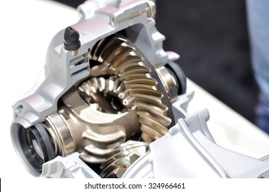 Car Differential In Cross Section Body.