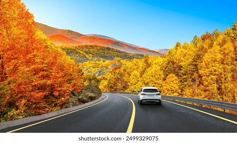 car drive on autumn road in beautiful nature. autumn colors in beautiful mountain road landscape. autumn landscape on the highway in forest. nature trip in fall. Autumn panorama on highway landscape.