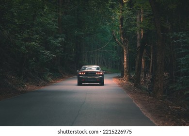 The Car Drives Through A Dense Dark Forest.