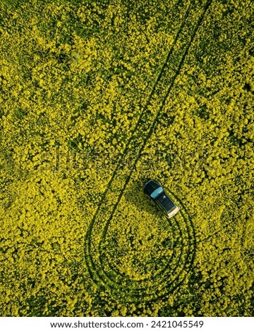 The car drives through the green field drone view