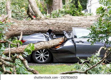 A Car In The Driveway Has A Tree Fall On Top Of It And Crush It During A Summer Storm In Babylon New York.