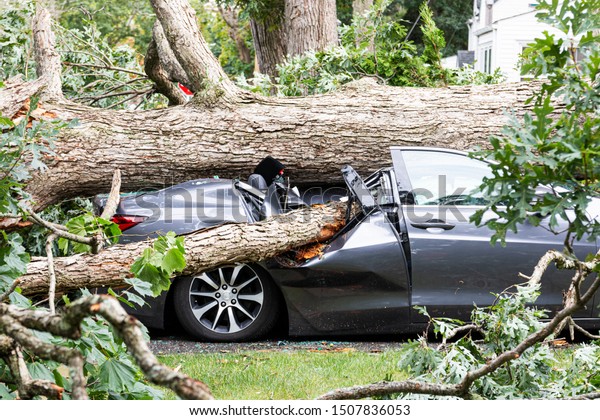 A car in the\
driveway has a tree fall on top of it and crush it during a summer\
storm in Babylon New York.