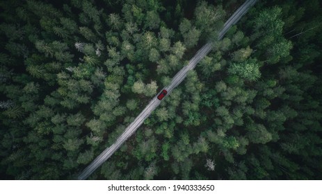 Car Driving Down The Empty Country Road Across The Vast Woods. Dark Green Mysterious Forest. Color Toned.