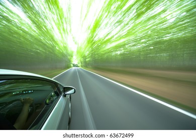 Car Driving Fast Into Forest