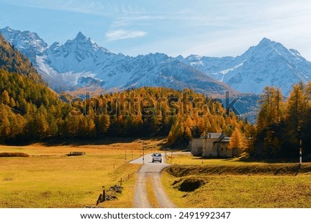 Similar – Image, Stock Photo autumn hike Autumn