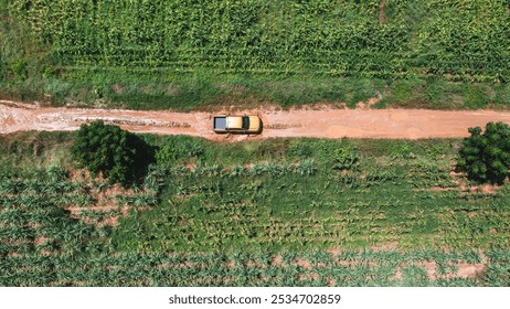 Car driving on a dirt road in a forest. The road is bumpy and rocky, and the trees are lush and green. - Powered by Shutterstock