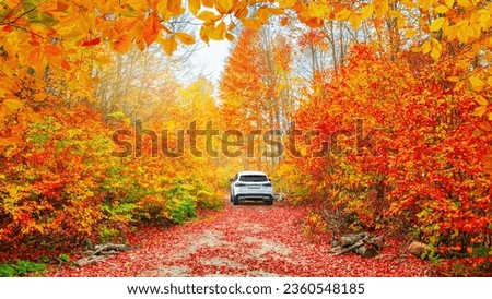 Car driving on the road in the forest in autumn season. Nature adventure in colorful fall forest. Autumn colors bring forest to life. car drive on beautiful mountain road. autumn view in germany. 商業照片 © 