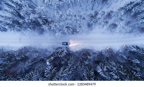 Car driving on snowy country road through fir forest at night. - Powered by Shutterstock