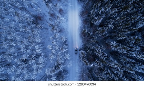 Car Driving On Snowy Country Road Through Fir Forest At Night. High Beam On.