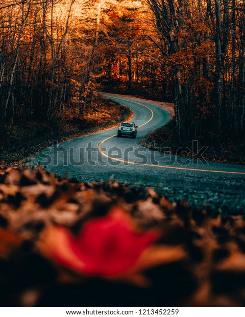 CAR DRIVING ON WINDING ROAD IN AUTUMN/FALL -\
Beautiful warm seasonal scene of car driving along curved back\
country road at sunrise. Exploring and travelling Canadian\
countryside. Ontario,\
Canada.