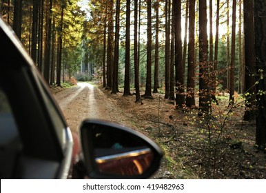 Car Driving Through The Forest On A Sunny Road At Sunset In The Woods Viewed From Outside Passenger Window With Sun Pouring Through Trees On An Open Road With No People