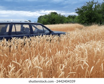 car in the field, car, auto, vehicle, transportation, isolated, automobile, transport, road, truck, travel, suv, 4x4, wheel, white, drive, van, black, retro, sky, classic, toy, vintage, jeep, driving