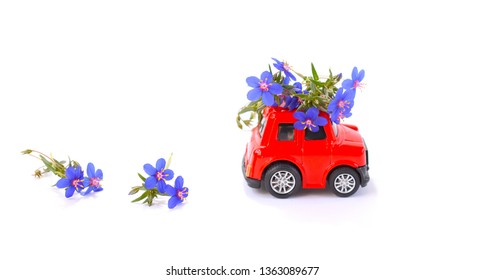 Car With flowers