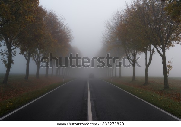 Car in the\
fog with no light and poor\
visibility
