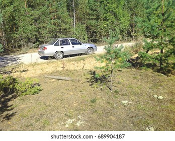 the car in the forest

