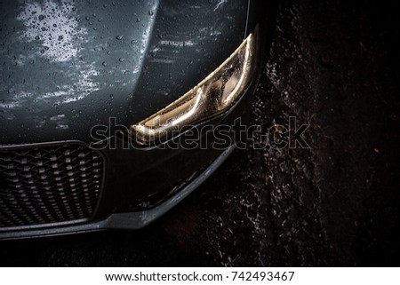 car in the forest