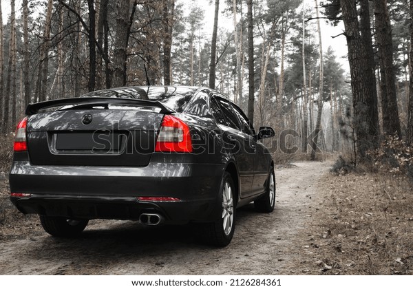 car in the forest, beautiful modern sports car. the\
back of the car. headlight of prestigious auto. stop signal. back\
view. beautiful headlights of a car. dark gray color. editorial,\
Ukraine, 2021