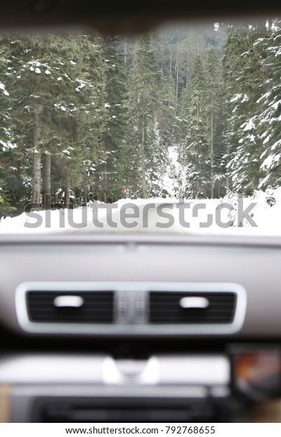 Car Forest
Winter