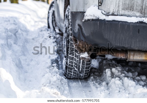 the\
car got stuck in the snow ,the concept of winter\
snow
