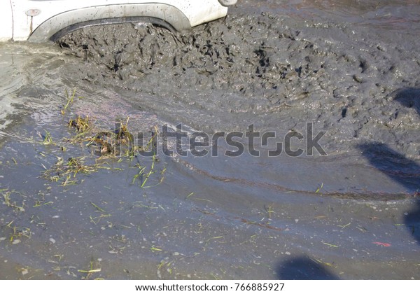 The car got stuck in the\
swamp.