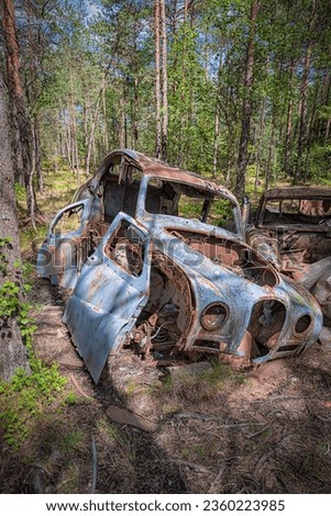 A car graveyard is situated in a forest