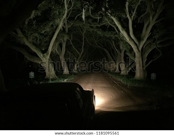 Car Heading Down Dark\
Creepy Road