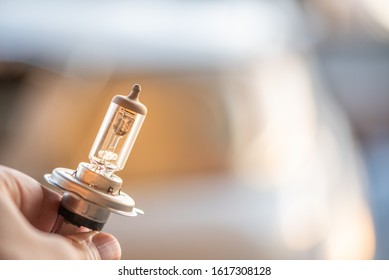 Car Headlight Bulb Holding In Hand.