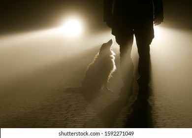 The car headlights illuminate the man and the dog standing on the cobblestone street. - Powered by Shutterstock