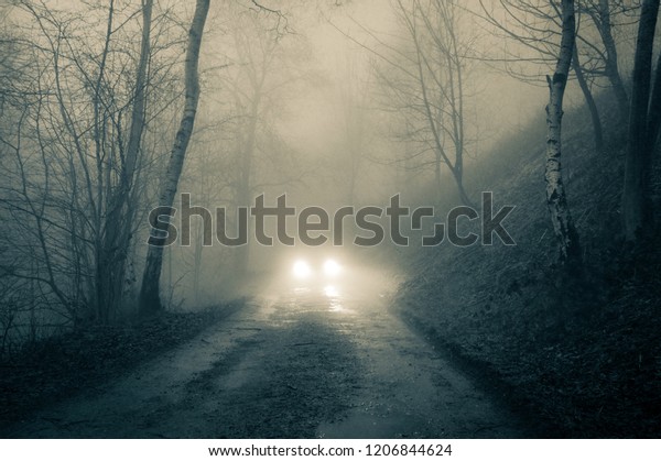 Car headlights on a forest\
track on a foggy winters evening, with a grunge, vintage duo tone\
edit