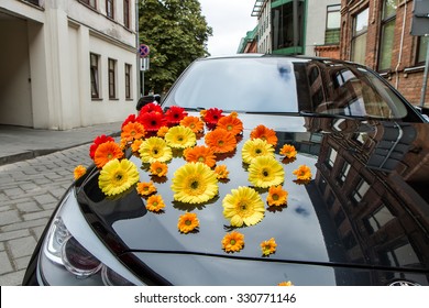 car hood decorated with red gerbera