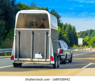 Car With Horse Trailer On The Road In Switzerland.