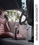 Car interior with flower blossom shift knob. 