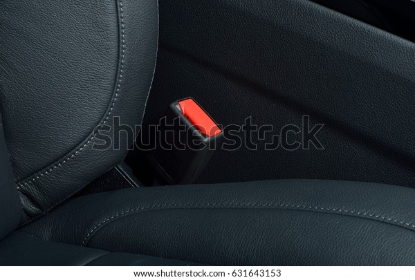 car interior set\
belt