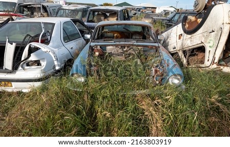 Car junkyard outdoor with wreck of a destroyed cars. Environmental pollution metal recycling.
