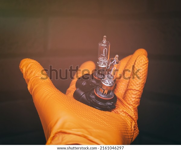 Car light bulbs in the\
hand of a man in protective gloves. Car repair. A mechanic in\
orange rubber gloves holds halogen lamps in his hand in close-up\
against a brick wall.