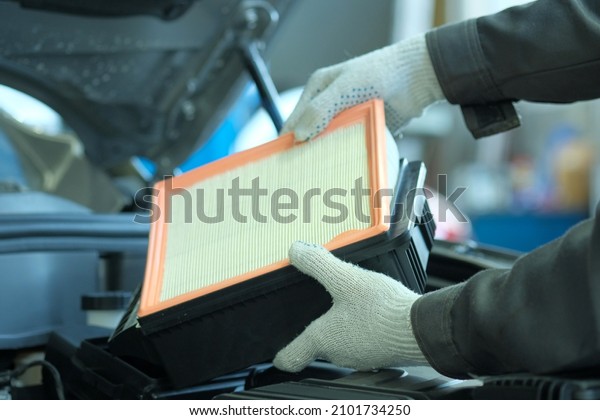 Car maintenance. Spare\
parts and consumables. An auto mechanic replaces the air filter on\
the engine.