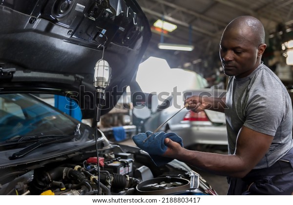 Car mechanic checking  oil quality\
the engine motor car Transmission and Maintenance Gear. car\
mechanic in an auto repair shop is checking the\
engine.
