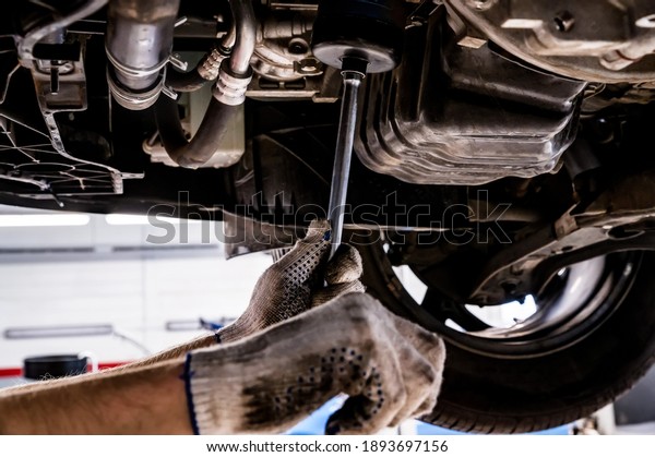 Car\
mechanic checks oil filter on Service\
station.