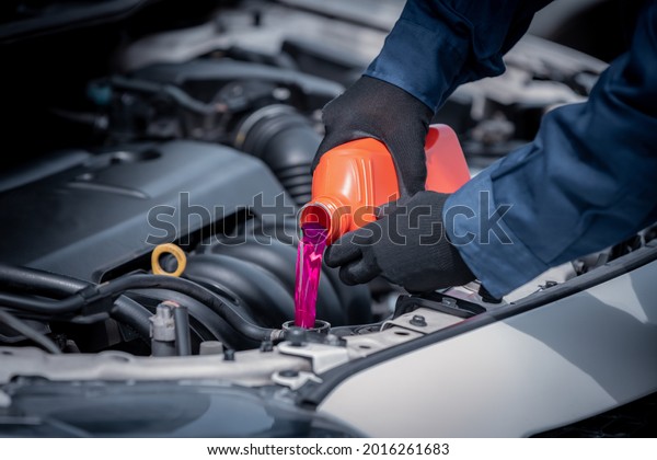 Car\
mechanic open car hood repairs system checking oil motor level for\
refill super Coolant and clean in car garage\
service.