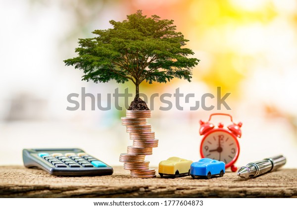 Car model and\
stacked gold coin and tree growing interest on the top on sunlight\
in the public park, loan and saving for buy a new car and\
investment a chattel in the future\
concept.