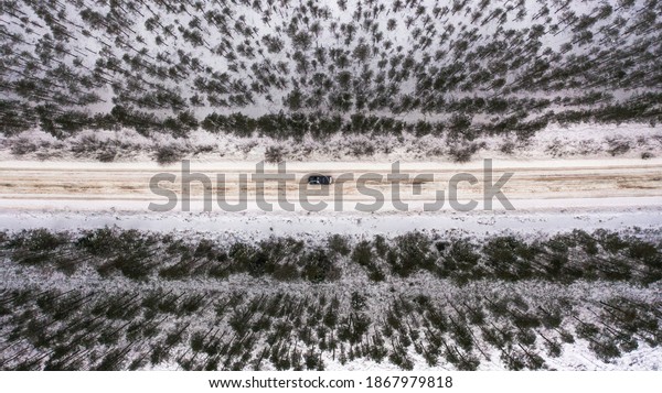  the car moves quickly along a sandy, icy\
road that passes through a young\
forest