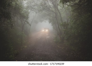 A Car Is Moving Through The Fog In A Dense Forest Of Western Ghats Near Mulshi Lake, Maharashtra.