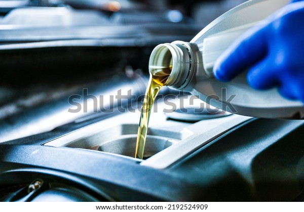 Car oil is pouring into the engine close up.\
pouring new oil into the engine. automobile engine oil change.\
vehicle maintenance concept