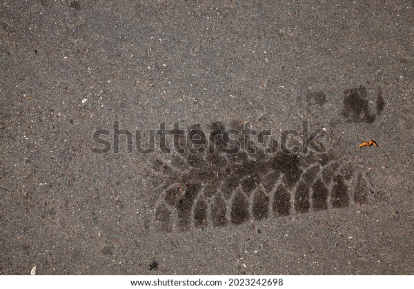 car oil stains on an asphalt road, stains from\
engine oil flowing out of\
cars