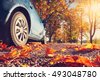 autumn road car